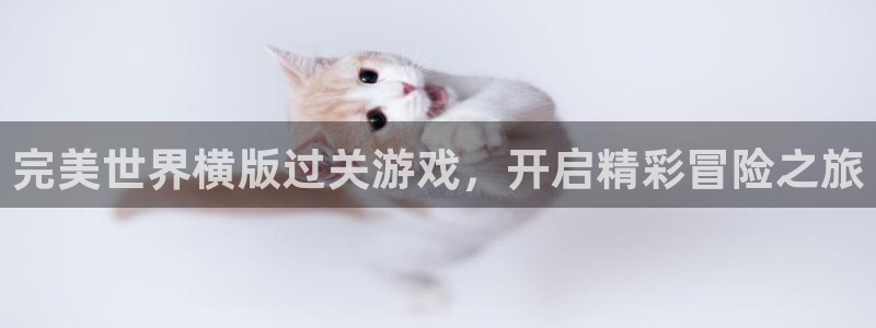 天辰平台注册地址在哪里查：完美世界横版过关游戏，开启精彩冒险之旅