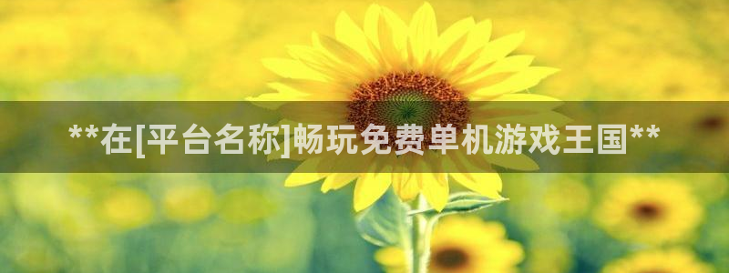 天辰平台注册稳定通道推荐设置：**在[平台名称]畅玩免费单机游戏王国**