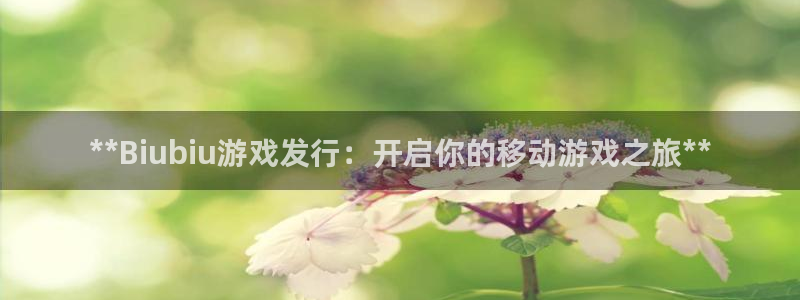 天辰平台 -你的专属平台：**Biubiu游戏发行：开启你的移动游戏之旅**