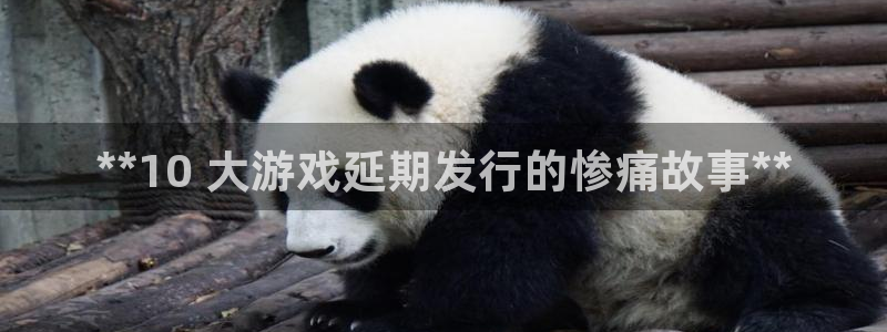 天辰平台联 5O6917 平台：**10 大游戏延期发行的惨痛故事**
