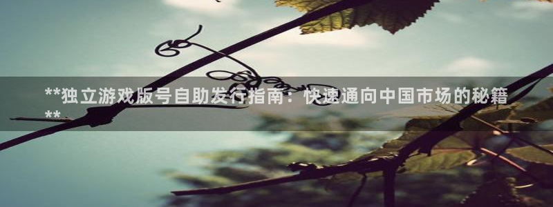 天辰平台注册登录地址怎么改：**独立游戏版号自助发行指南：快速通向中国市场的秘籍
**