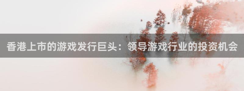 天辰用户注册：香港上市的游戏发行巨头：领导游戏行业的投资机会
