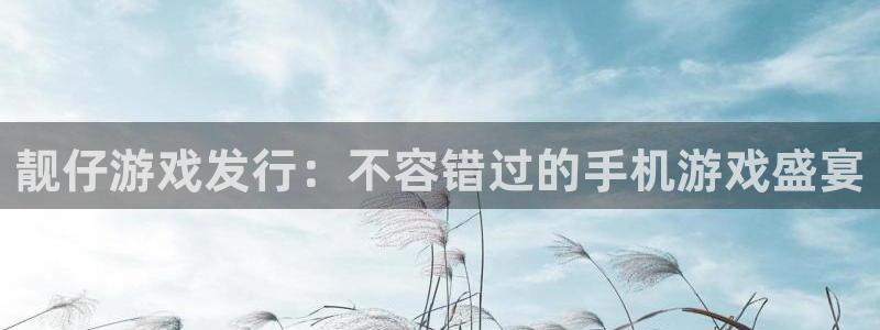 天辰平台网址是什么：靓仔游戏发行：不容错过的手机游戏盛宴