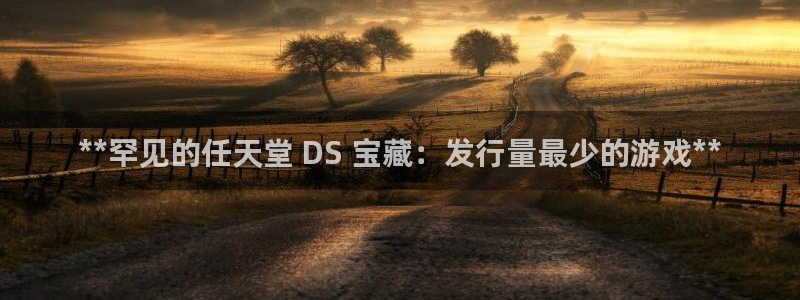 天辰测速在线登录入口：**罕见的任天堂 DS 宝藏：发行量最少的游戏**