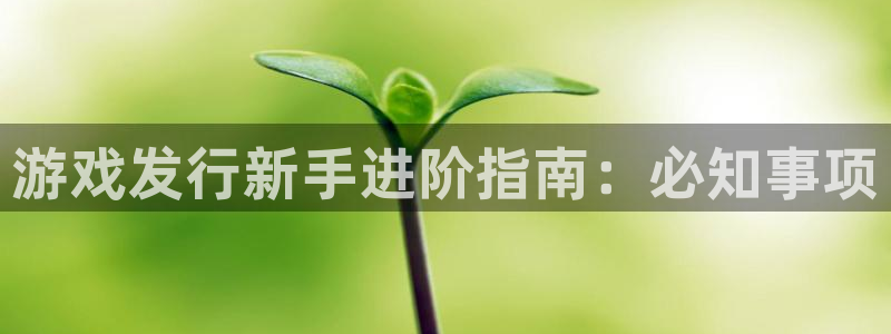 天辰平台怎么样可靠吗：游戏发行新手进阶指南：必知事项