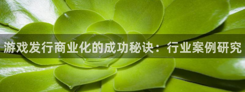 天辰平台话 411O31 平台：游戏发行商业化的成功秘诀：行业案例研究