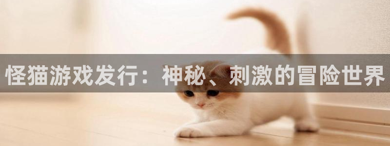 天辰网建设网：怪猫游戏发行：神秘、刺激的冒险世界