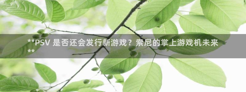 天辰平台测速登录失败怎么办：**PSV 是否还会发行新游戏？索尼的掌上游戏机未来
**