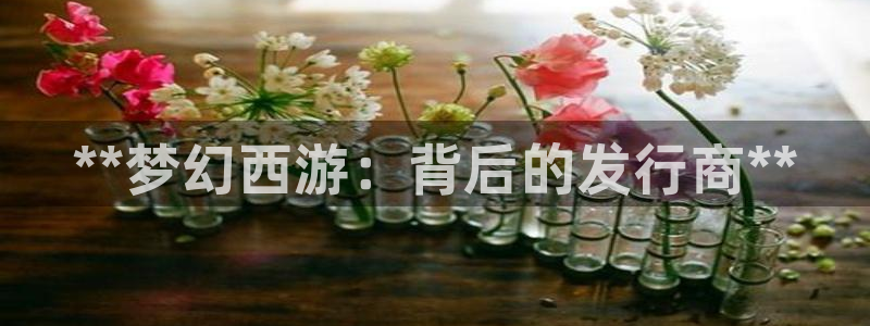 天辰注册会员有什么用：**梦幻西游：背后的发行商**