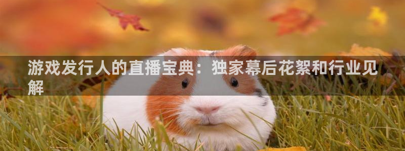 天辰平台会员多少钱：游戏发行人的直播宝典：独家幕后花絮和行业见
解
