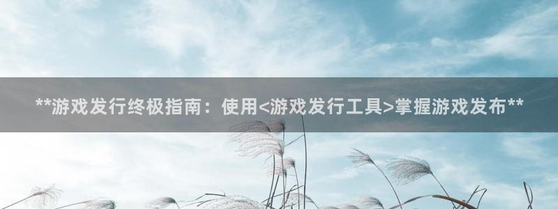 天辰平台却7O777：**游戏发行终极指南：使用<游戏发行工具>掌握游戏发布**