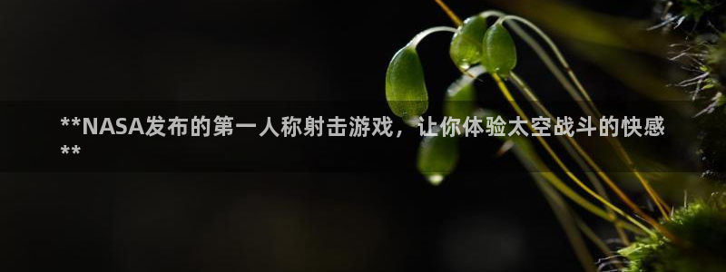 天辰平台稳 58534I 天辰：**NASA发布的第一人称射击游戏，让你体验太空战斗的快感
**