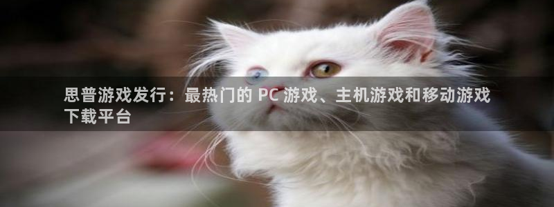 天辰平台注册地址怎么改的：思普游戏发行：最热门的 PC 游戏、主机游戏和移动游戏
下载平台