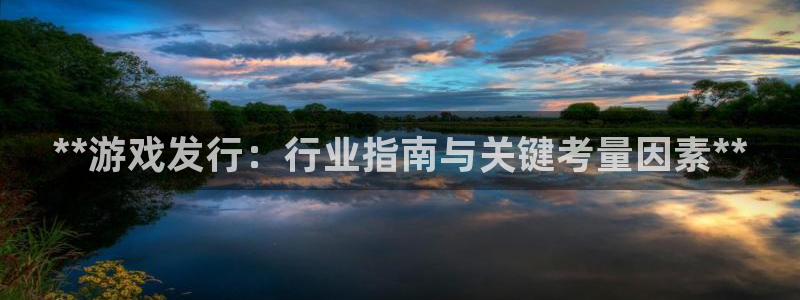 天辰平台你的专属平台是什么：**游戏发行：行业指南与关键考量因素**