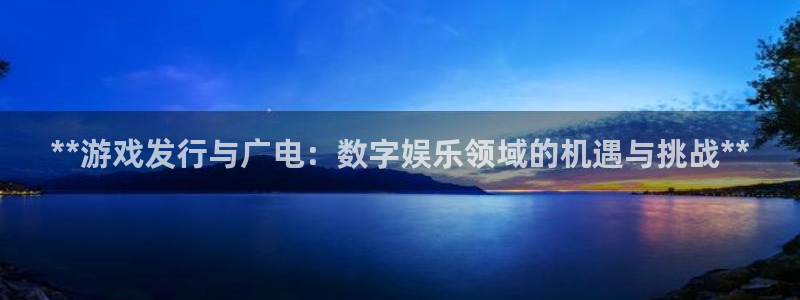 天辰平台注册地址怎么填不了：**游戏发行与广电：数字娱乐领域的机遇与挑战**