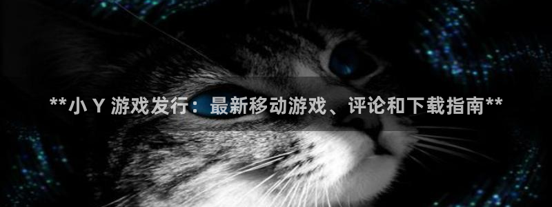 天辰平台去 58534I 平台：**小 Y 游戏发行：最新移动游戏、评论和下载指南**