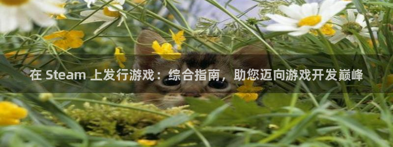 天辰平台注册地址在哪里看：在 Steam 上发行游戏：综合指南，助您迈向游戏开发巅峰