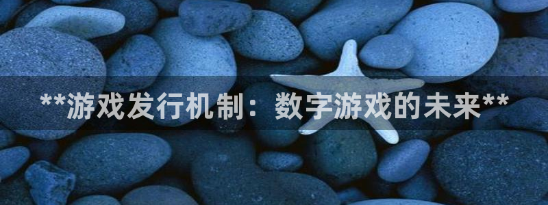 天辰平台用户注册网址：**游戏发行机制：数字游戏的未来**
