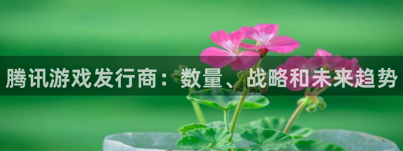 天辰平台用户登录不上怎么办：腾讯游戏发行商：数量、战略和未来趋势