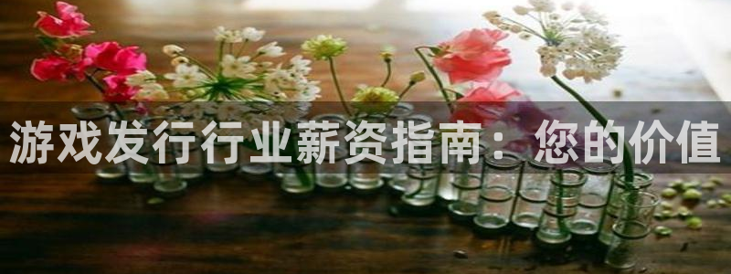 天辰测绘：游戏发行行业薪资指南：您的价值