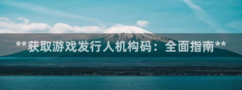 天辰娱乐都是干什么的呀：**获取游戏发行人机构码：全面指南**