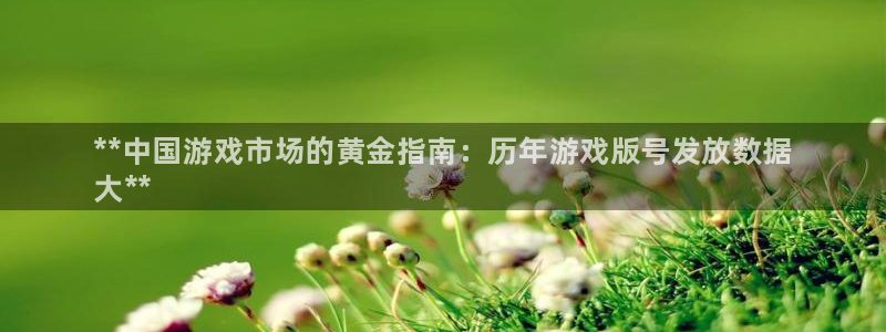 天辰平台推 585341 平台：**中国游戏市场的黄金指南：历年游戏版号发放数据
大**