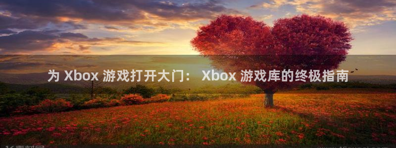 天辰平台会员怎么开