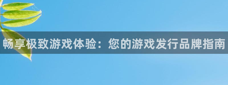 天辰会员是干什么的啊：畅享极致游戏体验：您的游戏发行品牌指南