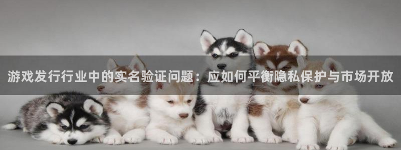 天辰建设网项目会员收费标准：游戏发行行业中的实名验证问题：应如何平衡隐私保护与市场开放