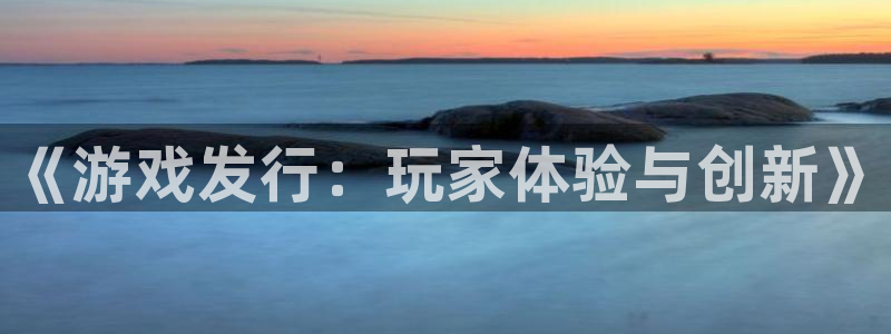 天辰会员注册链接怎么弄：《游戏发行：玩家体验与创新》