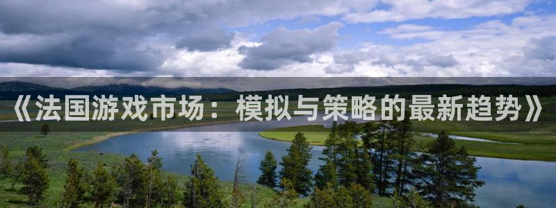 天辰平台用户登录不了账号：《法国游戏市场：模拟与策略的最新趋势》