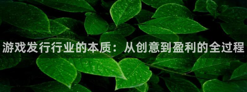 天辰平台你的专属平台在哪里：游戏发行行业的本质：从创意到盈利的全过程