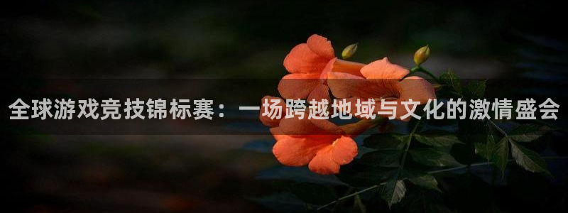 天辰平台木 5O6917 天辰：全球游戏竞技锦标赛：一场跨越地域与文化的激情盛会