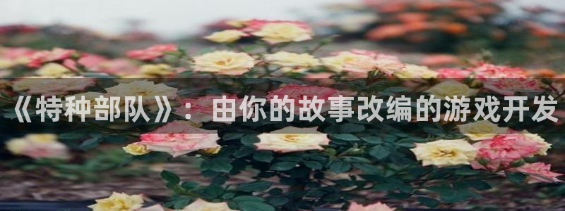 天辰测绘有限公司：《特种部队》：由你的故事改编的游戏开发