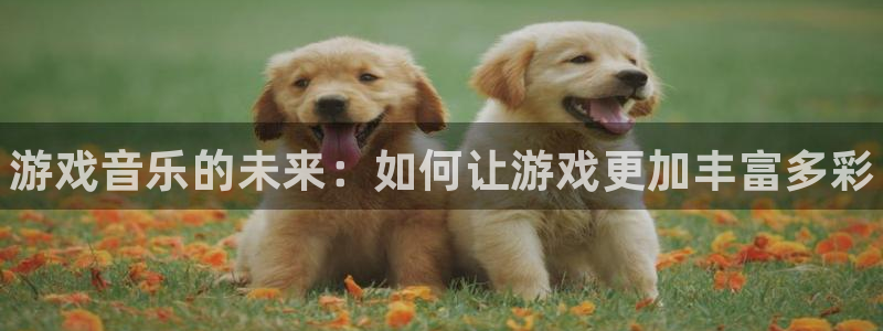 天辰平台注册地址在哪里：游戏音乐的未来：如何让游戏更加丰富多彩