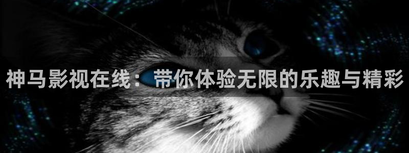 黑狐影院免费高清电影：神马影视在线：带你体验无限的乐趣与精彩